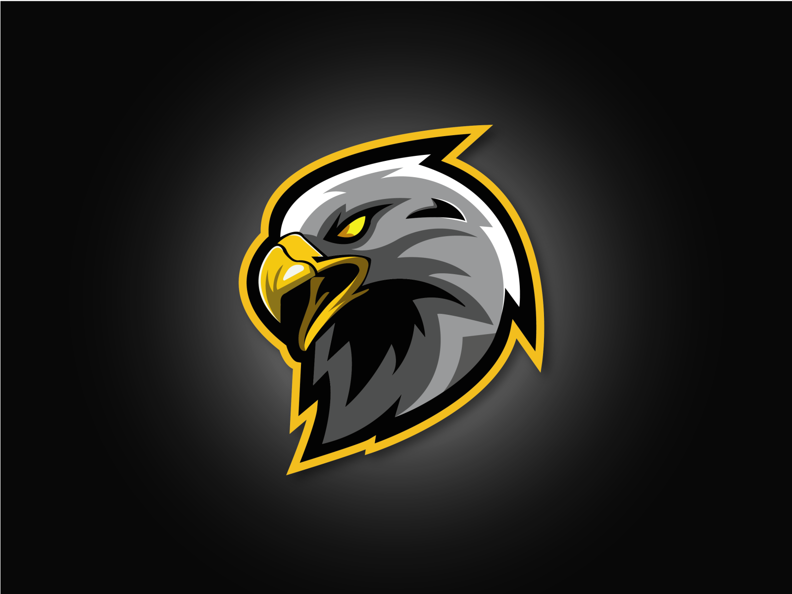 Eagles by april lia on Dribbble