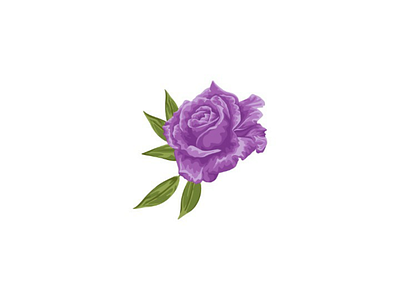 Rose flower design illustration