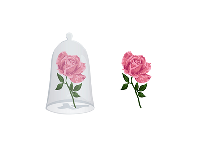 Pinky rose flower illustration design