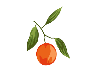 Orange orange with leaves illustration botanical decorate fruit illustration fruit vector illustration illustration design natural nature vector vector illustration vintage