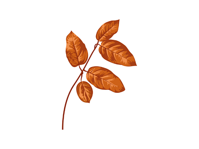 Dried Leaves illustration