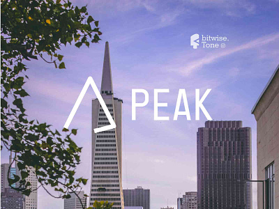 Peak Logo Design