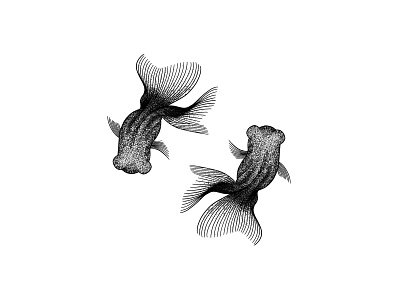 Goldfish black and white dotwork geometric art goldfish ink drawing line drawing pointilism polygon art stipple art