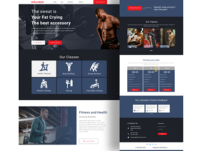 Website Design For Fitness designs, themes, templates and downloadable  graphic elements on Dribbble
