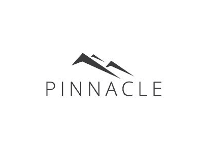 Pinnacle branding / logo branding design logo