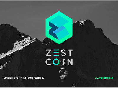 ZestCoin Branding app apparel blockchain brand branding crypto cryptocurrency icon logo mark typography ui website