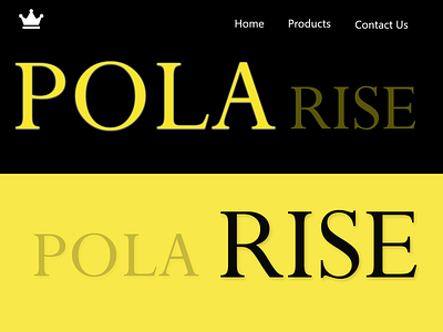 Polarise branding design typography ui ux website