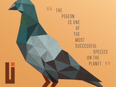 Geo Pigeo bird geometric pigeon urban wisdom