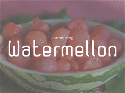 Watermellon branding design display font font icon logo luxury design sans serif typeface typography