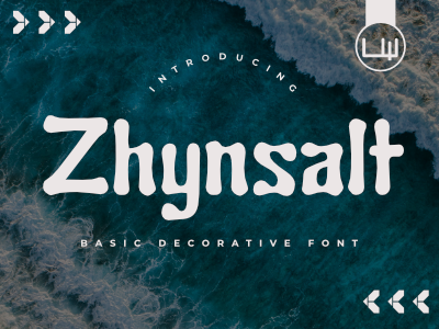 Zhynsal Font animation app branding cover design design display font font design sans serif typeface typography
