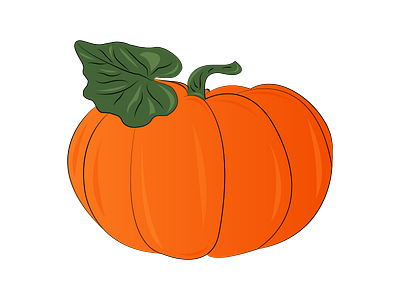 Beautiful Pumpkin in Adobe Illustrator CC art design flat graphic design icon illustration illustrator logo minimal vector