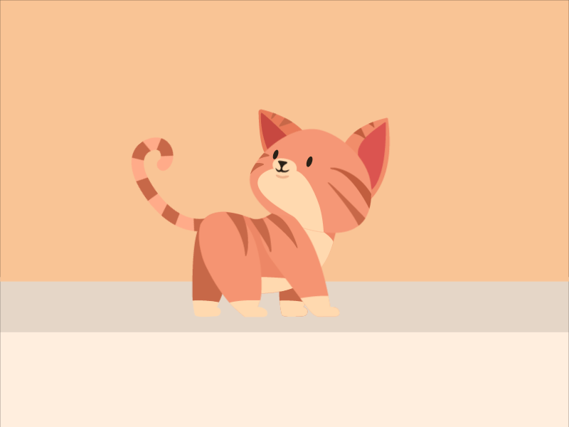 Kitty CAT animation cat illustration kitten kitty kitty illustration