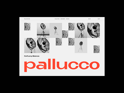 Pallucco — concept work app brand branding concept dashboard design illustration interface logo madebywater minimal photography product typogaphy typography ui vis visual design