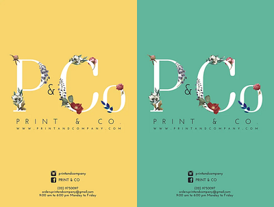 Print & Co Brochure (Front Design) graphic design typography