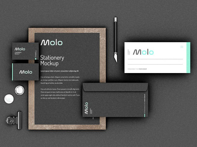 Molo Brand design branding design flat icon identity illustration illustrator logo typography vector