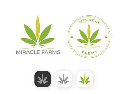 Logo design project for cannabis company " Miracle farms" branding canabis logo canada cannabis logo cannabis company cannabis logo design creative design green logo icon identity leaf logo logo