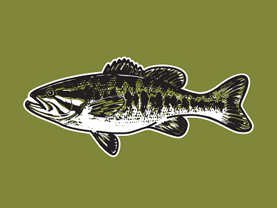 Guadalupe Bass Illustration fish fly fishing illustration sticker vector