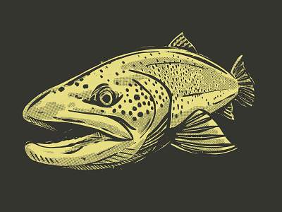 Brown Trout Illustration fly fishing illustration logo trout