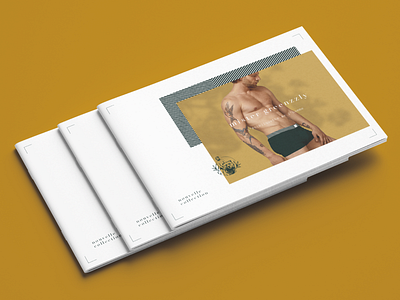 Brochure - Mister Greenzzly bamboo bear brand branding brochure collection design drawing fashion graphic grizzly illustration lingerie logo logotype man nature underwear