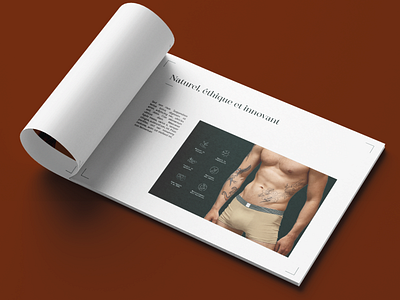 Brochure - Mister Greenzzly bamboo bear brand branding brochure design drawfing fashion graphic grizzly illustration lingerie logo logotype man nature underwear