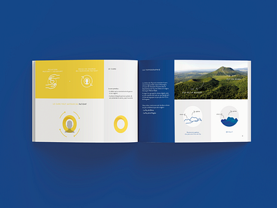 Brandbook - Radiodôme brand brand design brand identity brandbook branding care corporate design graphic graphic design health healthcare logo logo design logotype medical radiology topography volcano