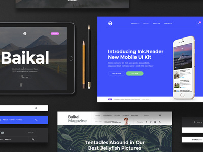 Baikal UI Kit kit psd sketch ui ux