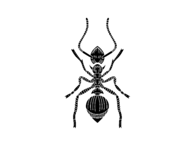 tmp cam 5885644098654833012 animal ant black black white vector