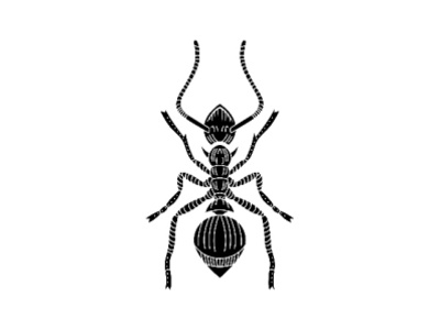 tmp cam 5885644098654833012 animal ant black black white vector