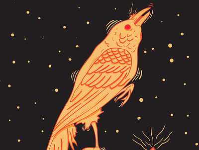 // night's bird // bird illustration devo flat illustration