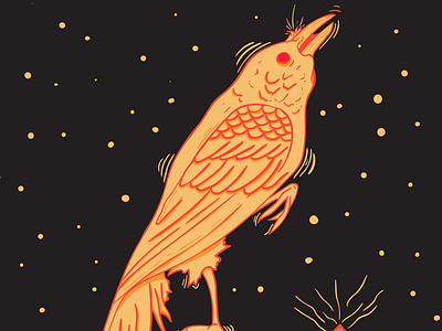 // night's bird //