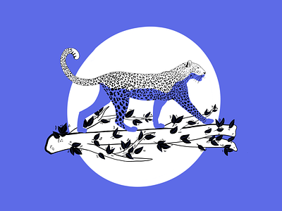 Jaguar cat illustration jaguar moon savannah visual