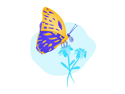 Visuals wildlife app clean complementair contrast design flower illustration mariposa papillon sommerfugl visual vlinder wildlife