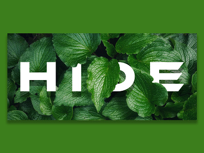 Hide branding design graphic design icon illustration illustrator logo vector