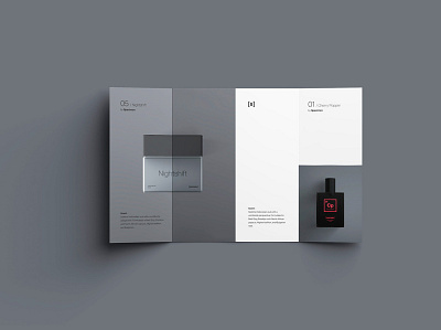Specimen branding brochure design idenitity typogaphy