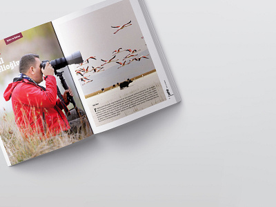 Magazine Design - Sehir Kultur Sanat Dergisi