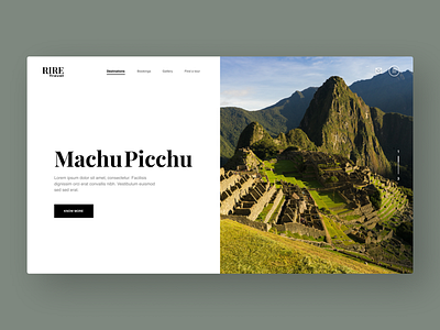 Travel Website Design