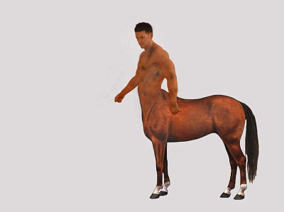 Horse Man branding design proffesional ui ux