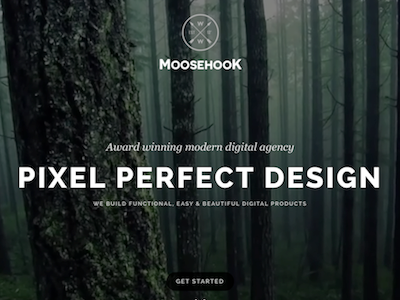 Moosehook - landing branding css html landing page logo photography ux video web design wordpress