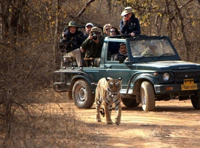 Ranthambore Online Jeep Safari Booking