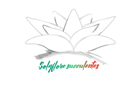 Solyflore succulentes logo black&color logo