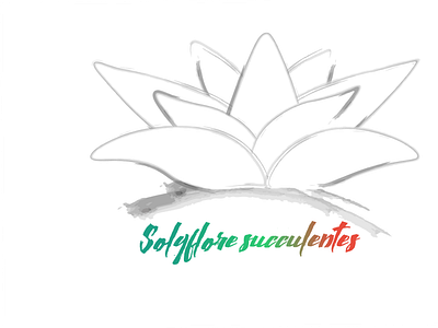 Solyflore succulentes logo black&color