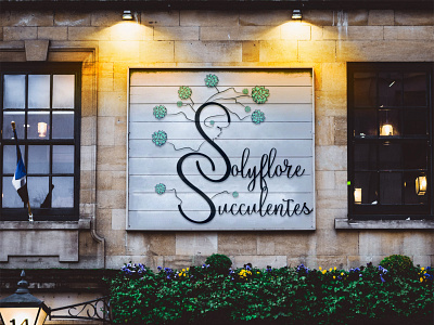 mockup solyflore succulentes