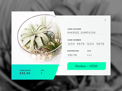 Daily UI: Credit Card Checkout 002 checkout dailyui terrarium ui