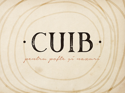 Cuib branding restaurant strategic planning