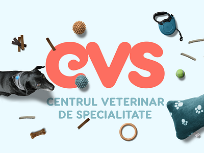 CVS branding illustration interior design pets strategic planning veterinary clinic