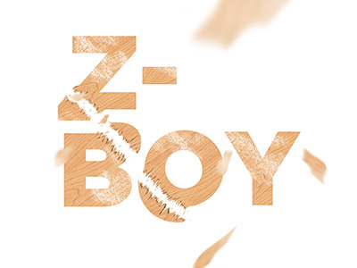 Z-Boy illustration lettering scratch skate skateboard wood z-boy