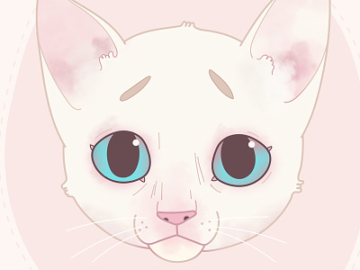 Concerned Kitty baby pink blue eyes cat concerned concerned kitty kitten pink vector white