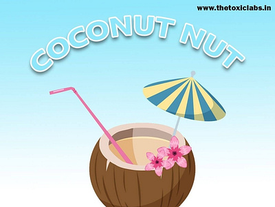 Coconut Nut design graphicdesign illustration photoshop poster design socialmedia ui ux vector