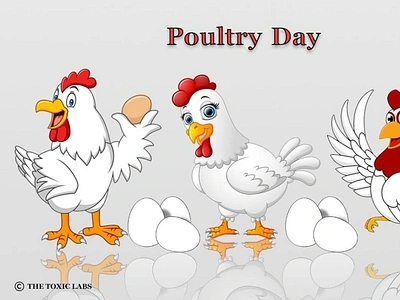 Poultry Day🐔🐔 branding design graphicdesign illustration photoshop poster design socialmedia ui ux vector