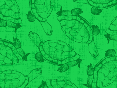 turtle pattern paper pattern scrapbook turtle